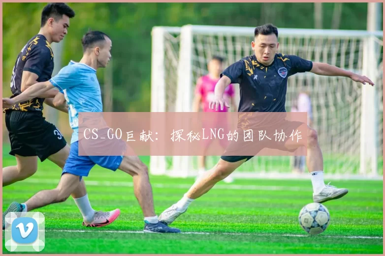 CS_GO巨献：探秘LNG的团队协作