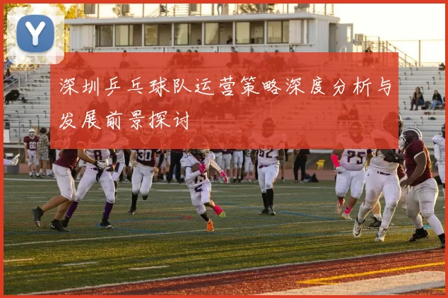 深圳乒乓球队运营策略深度分析与发展前景探讨