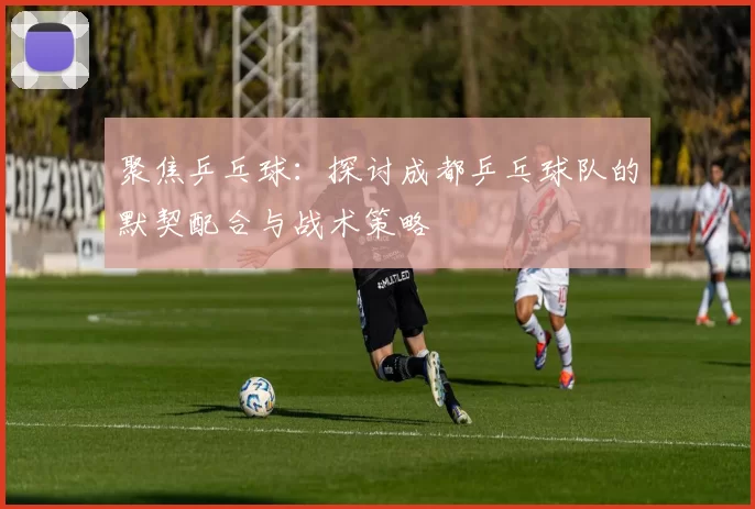 聚焦乒乓球：探讨成都乒乓球队的默契配合与战术策略