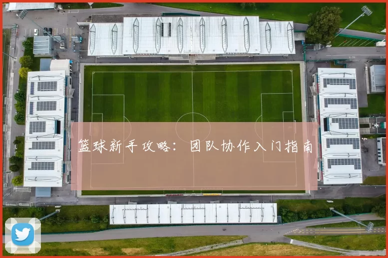 篮球新手攻略：团队协作入门指南