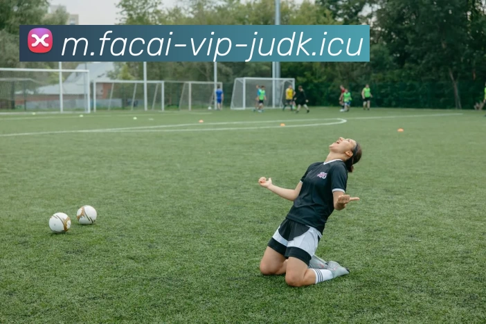 乐鱼体育APP 高清赛事图